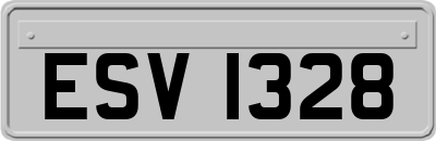 ESV1328