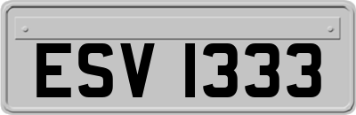 ESV1333