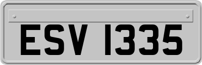 ESV1335