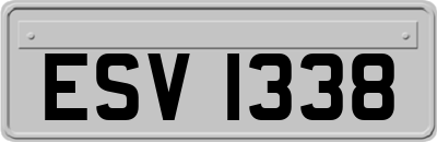 ESV1338