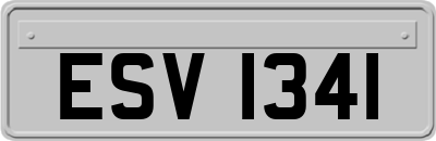 ESV1341