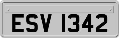 ESV1342