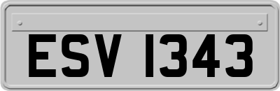 ESV1343