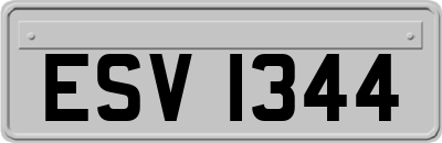 ESV1344