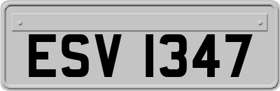 ESV1347