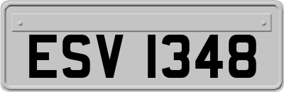 ESV1348