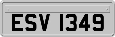 ESV1349