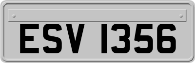ESV1356