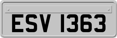 ESV1363