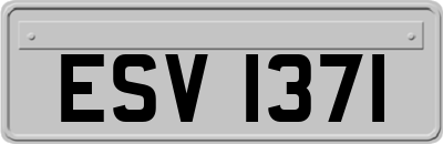 ESV1371