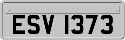 ESV1373