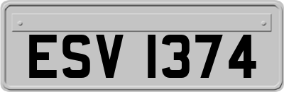 ESV1374