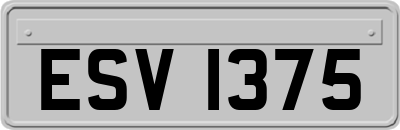 ESV1375