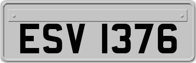 ESV1376
