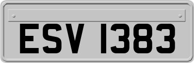 ESV1383