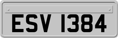 ESV1384