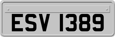 ESV1389