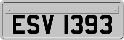 ESV1393