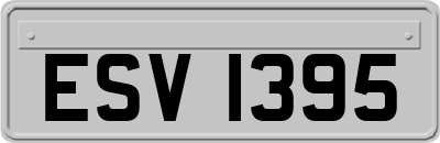 ESV1395