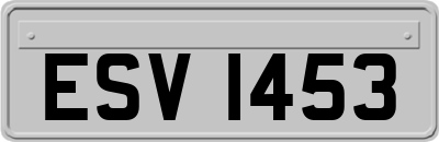 ESV1453