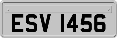 ESV1456