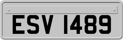 ESV1489