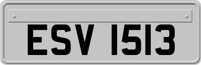 ESV1513