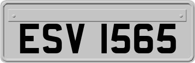 ESV1565