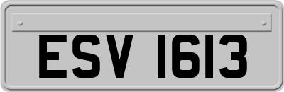 ESV1613