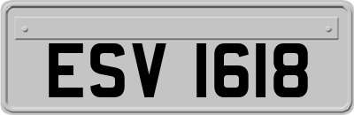 ESV1618
