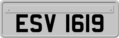 ESV1619