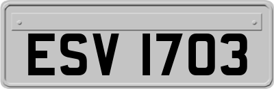 ESV1703