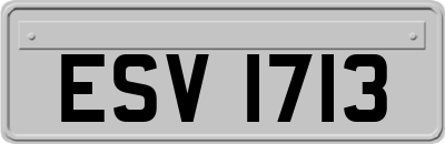 ESV1713