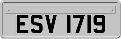 ESV1719