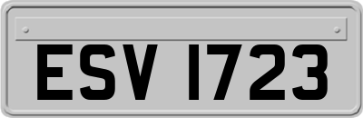 ESV1723