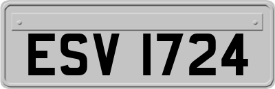 ESV1724