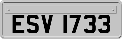 ESV1733
