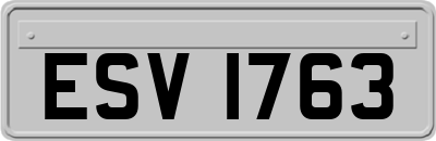 ESV1763