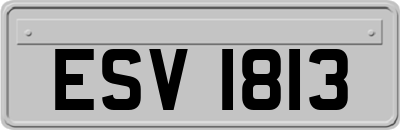 ESV1813