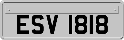 ESV1818
