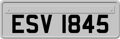 ESV1845