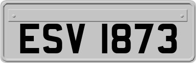 ESV1873