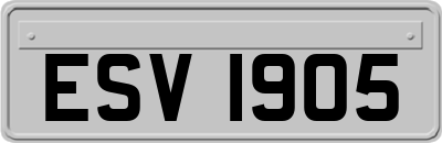 ESV1905