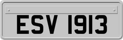 ESV1913