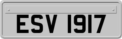 ESV1917