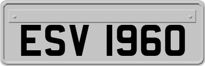 ESV1960