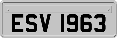 ESV1963