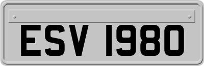 ESV1980