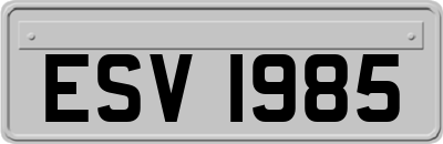 ESV1985