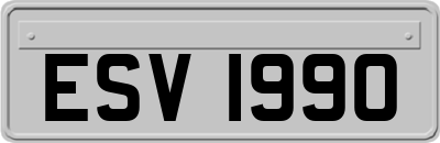 ESV1990